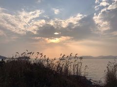 -上海市保健医疗中心