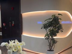 -小仙女采耳·按摩·SPA(深圳旗舰店)