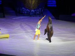 -珠海横琴长隆《卡卡虎奇遇记》