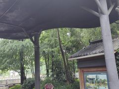 -成都市活水公园