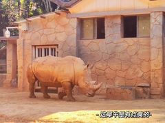 -昆明动物园