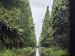 -黄海国家森林公园