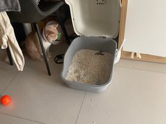 -创凡宠物医院·骨专科  猫科中心(西乡分院)