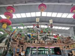 -南宫五洲植物乐园