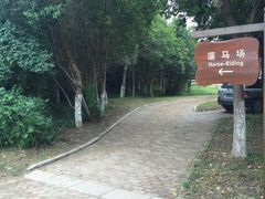 -太阳岛度假酒店