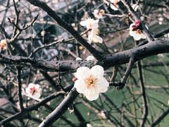 -上海市龙华烈士陵园