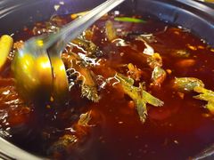 -金海椒罐罐鲢鱼(东方桂苑店)