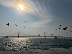 -星海湾跨海大桥