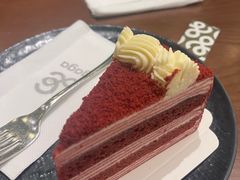 红丝绒千层-gaga(北京新中关购物中心店)