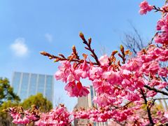 景点-大宁公园