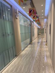-上海首尔丽格医疗美容医院