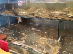 水产区-隐厨·海鲜餐厅(恒通路店)