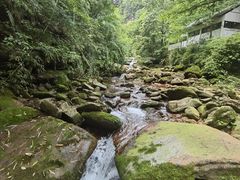 -碧峰峡风景区