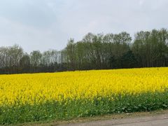 -桤木河湿地公园