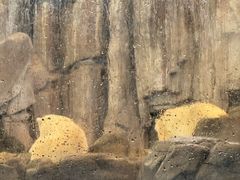 -西安曲江海洋极地公园