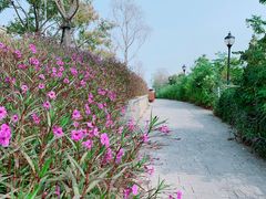 -金银湖国家城市湿地公园
