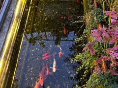 -老洋房花园饭店(绍兴路店)