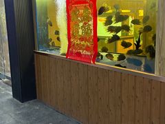 -中环花鸟鱼虫市场