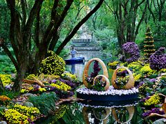 -上海共青森林公园