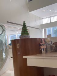 -上海时光整形外科医院