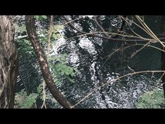 -四门塔风景区
