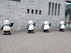 -都江堰中华大熊猫苑