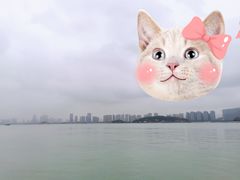 -厦门邮轮中心厦鼓码头(轮渡站)