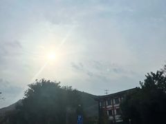 -福顺祥大盘鸡(临潼店)