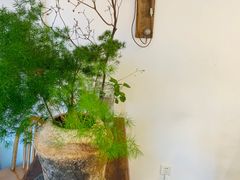 -汤厨(五道营店)