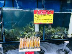 -蚝专家(北滘店)