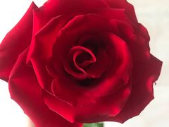 -福苑粥铺(长春大街店)