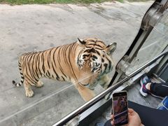 -西安秦岭野生动物园