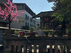 -竹庄餐馆·26年店(南昆山景区店)