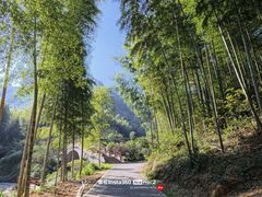 -午潮山国家森林公园