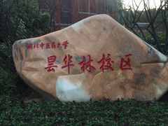 -湖北中医药大学(昙华林校区)