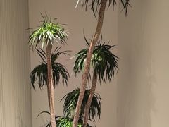 -墨宴(西洋湖店)