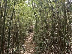 -宝界山林公园