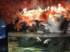 -成都浩海立方海洋公园