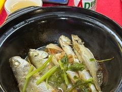 -蛇口康乐快餐鱼仔档(翠苑小区店)