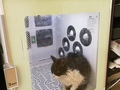 -沐沐家宠物(成寿寺店)