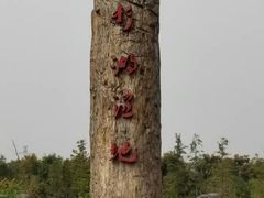 -池杉湖湿地公园