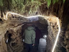 -周口店北京人遗址公园