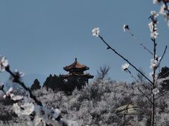 -白水寺森林公园