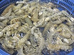 -王四营海鲜市场