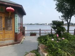 -鹅湖玫瑰文化园