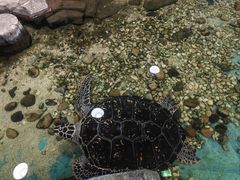-嘉兴海底世界