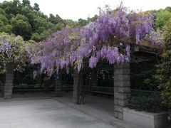 -宋庆龄陵园