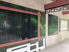 -白沙古井