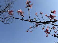 -浙江西子宾馆·牡丹厅