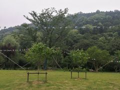 -龙寺生态园